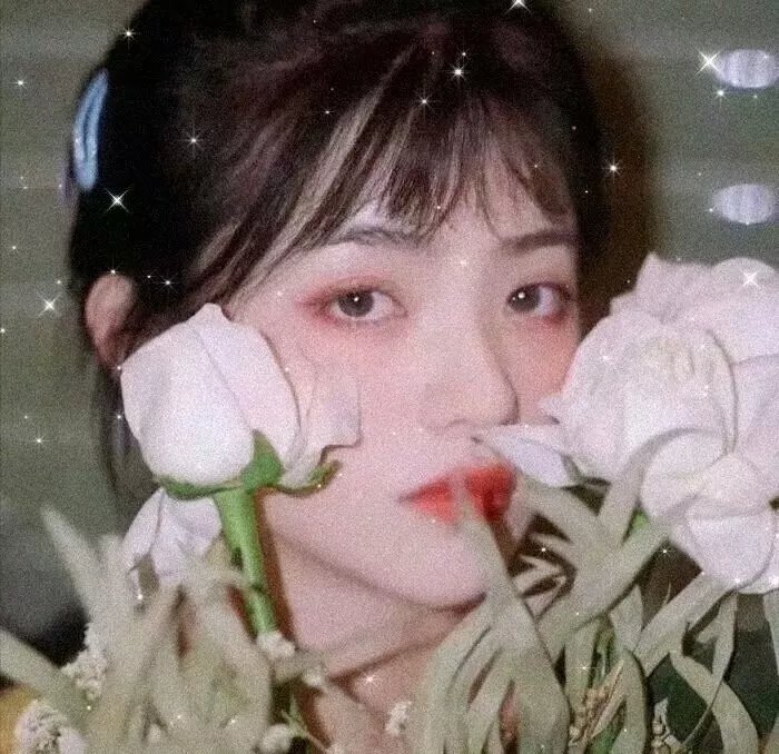 星梦泪痕